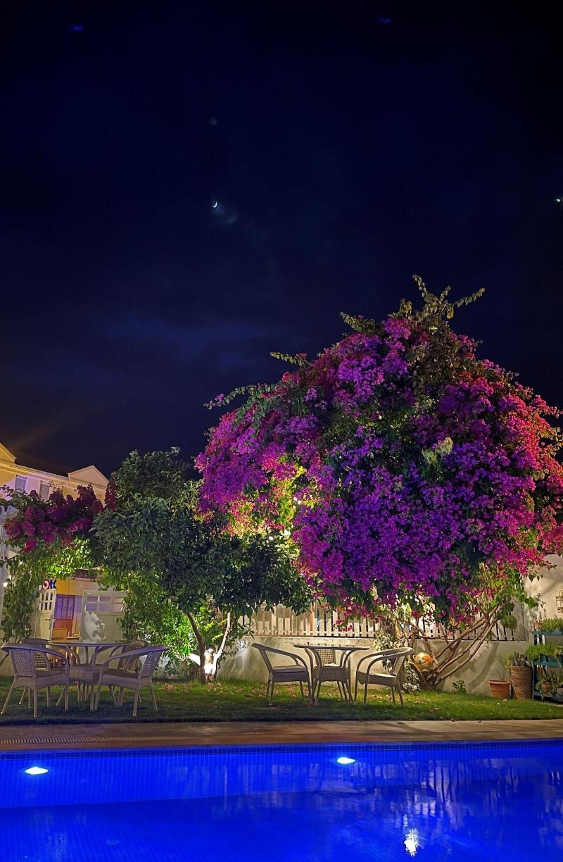 Grandma's Garden — general view