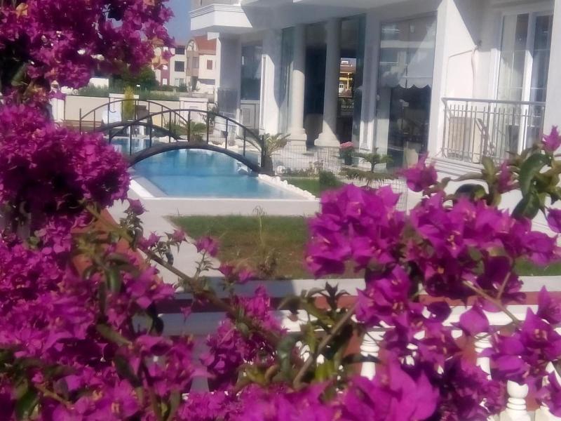 Dolunaydin image