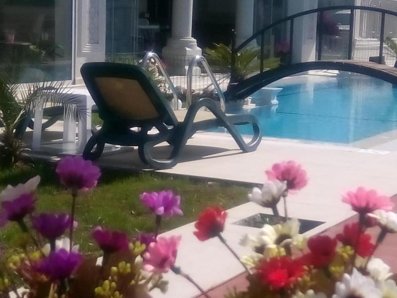 Dolunaydin image