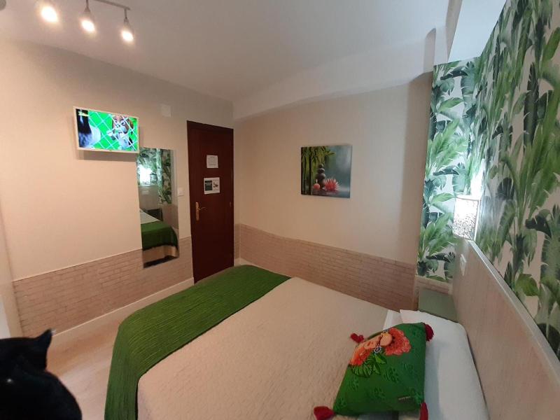 Hostal Verdemar image