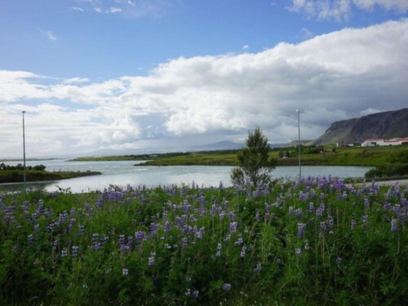 Gesthús Selfoss image