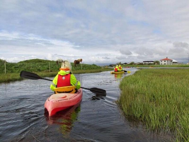 Gesthús Selfoss image