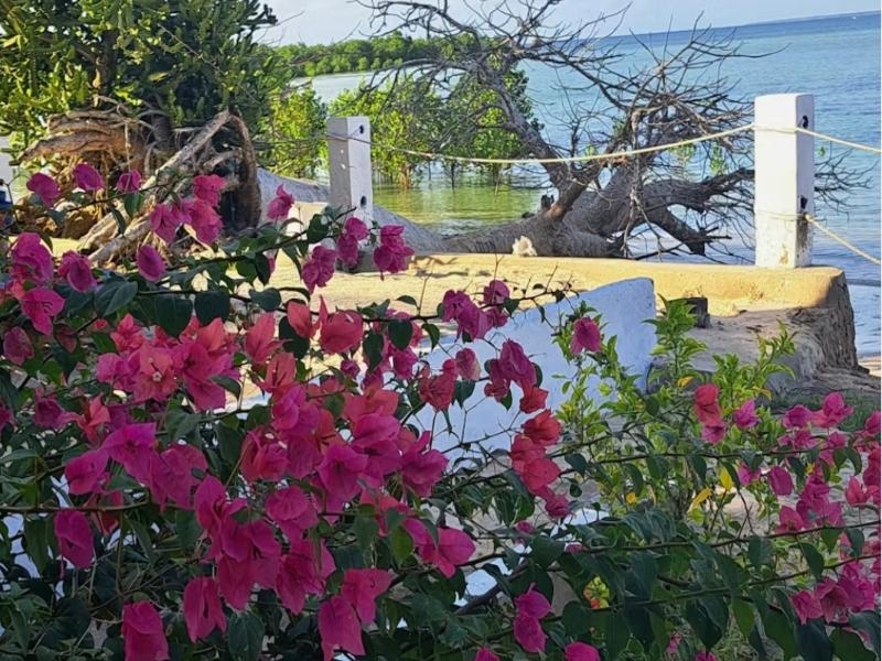 Menai Bay Beach Bungalows image