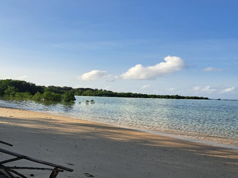 Menai Bay Beach Bungalows image