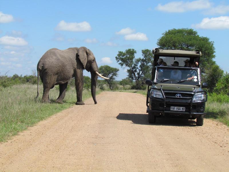 Boulders Safari Lodge image