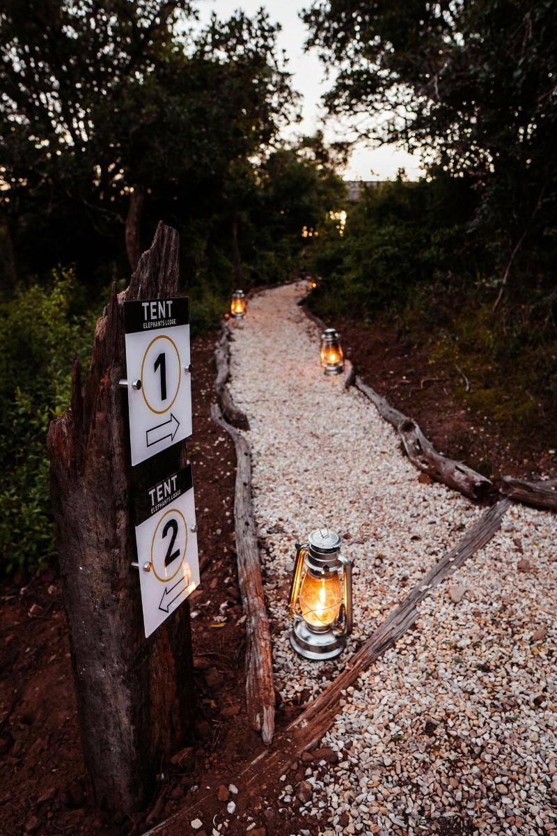 Elephants Lodge - Bellevue Forest Reserve image