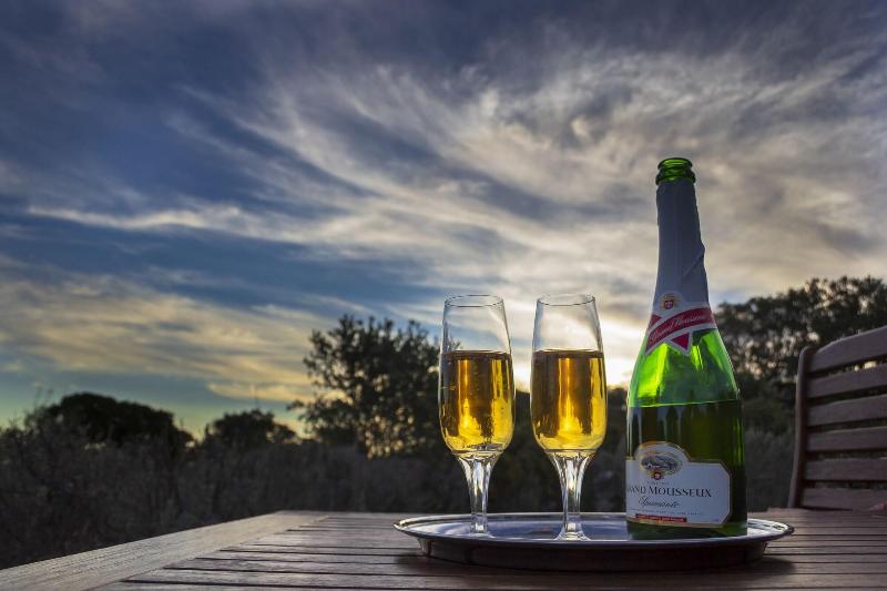 Elephants Lodge - Bellevue Forest Reserve image