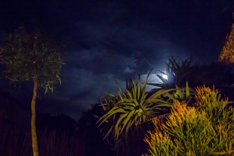 Elephants Lodge - Bellevue Forest Reserve image