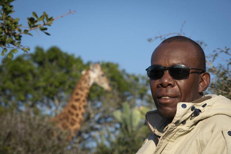 Elephants Lodge - Bellevue Forest Reserve image