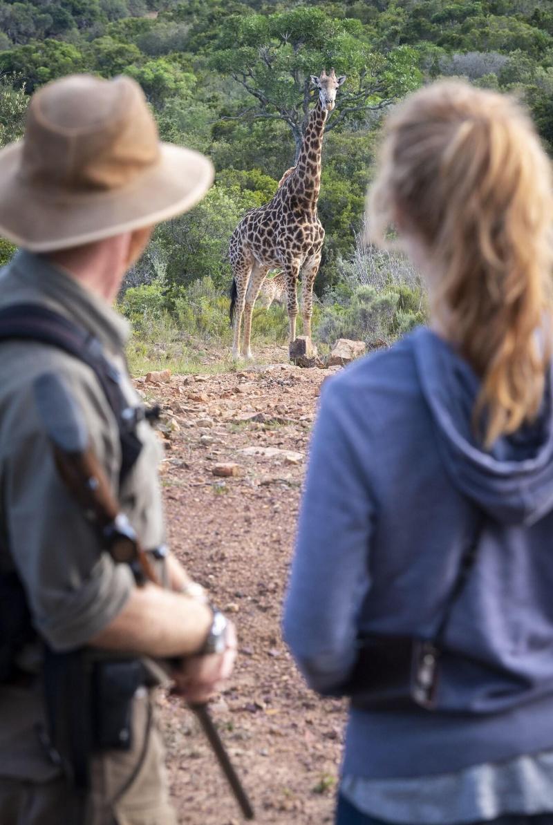 Elephants Lodge - Bellevue Forest Reserve image