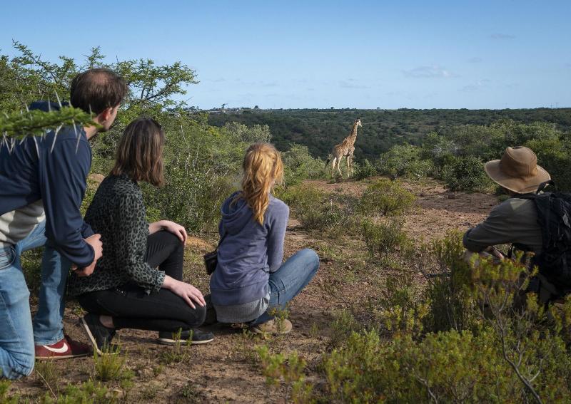 Elephants Lodge - Bellevue Forest Reserve image
