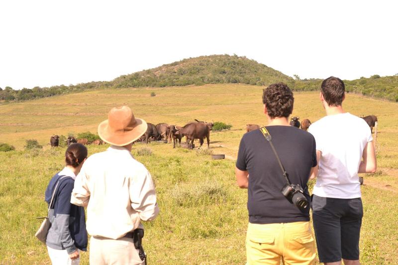 Elephants Lodge - Bellevue Forest Reserve image