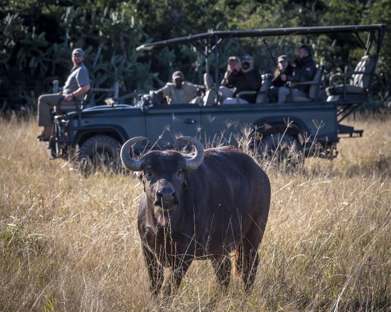 Elephants Lodge - Bellevue Forest Reserve image