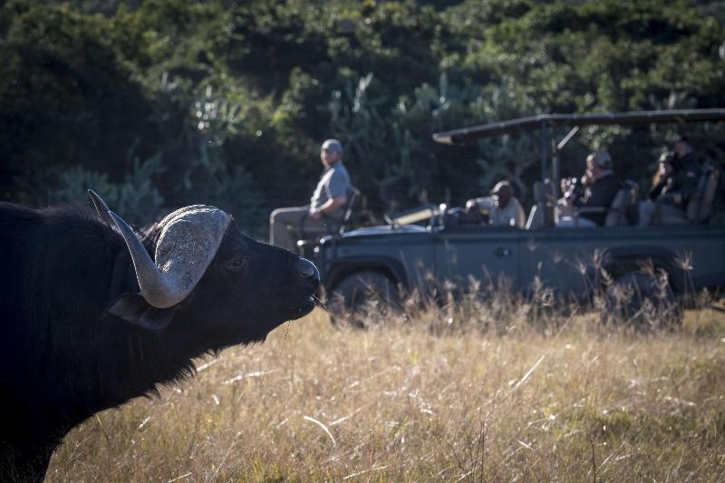 Elephants Lodge - Bellevue Forest Reserve image