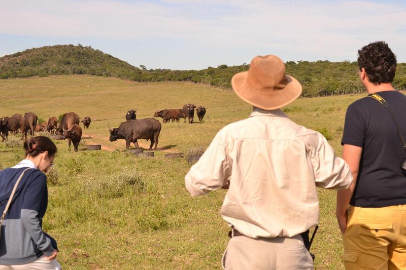 Elephants Lodge - Bellevue Forest Reserve image