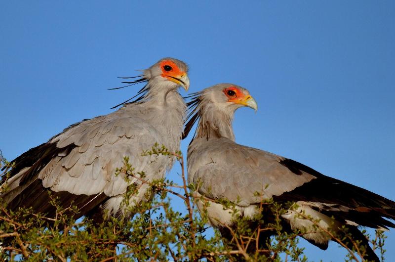 Elephants Lodge - Bellevue Forest Reserve image