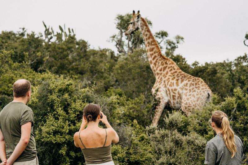 Elephants Lodge - Bellevue Forest Reserve image