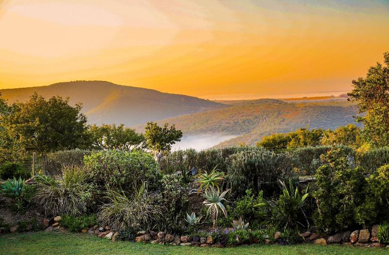 Elephants Lodge - Bellevue Forest Reserve image