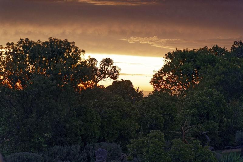 Elephants Lodge - Bellevue Forest Reserve image