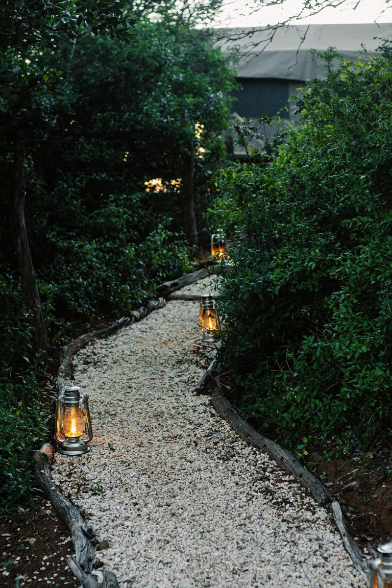 Elephants Lodge - Bellevue Forest Reserve image