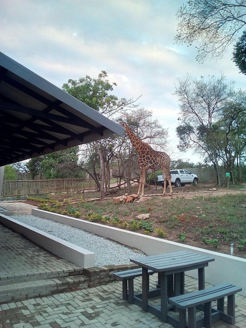 Hazyview Buffalo Game Lodge image