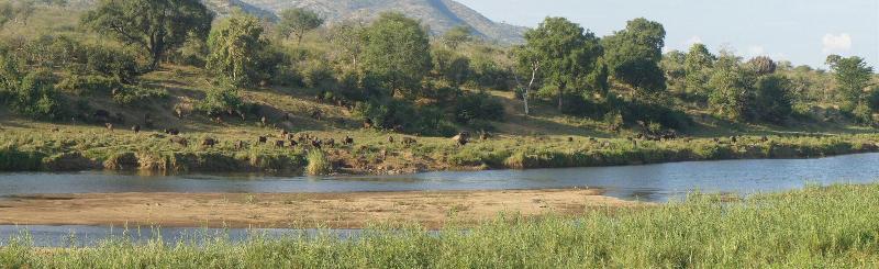 Kambaku River Lodge image