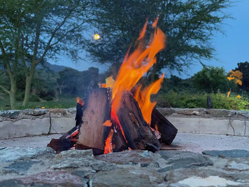 Kambaku River Lodge image