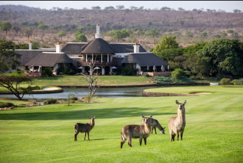 Kambaku River Lodge image