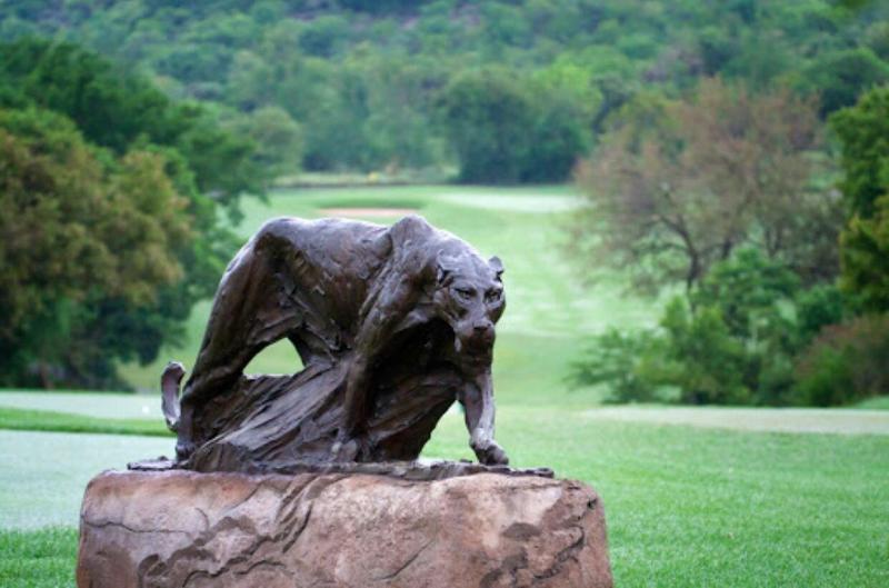 Kambaku River Lodge image