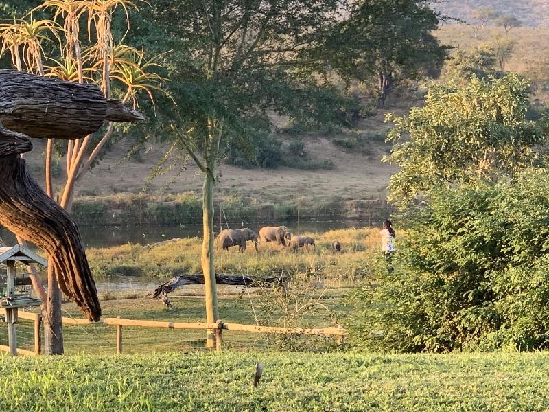 Kambaku River Lodge image