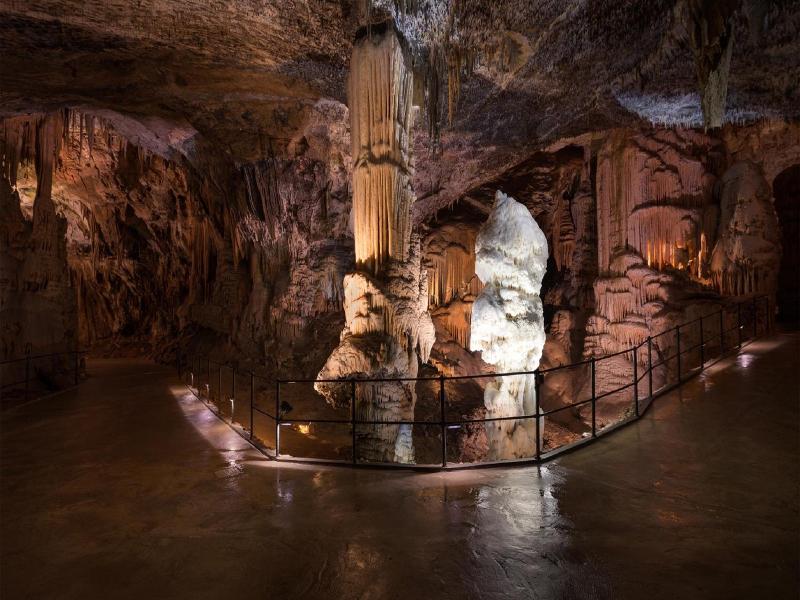 Postojna Cave Rooms & Apartments Proteus image