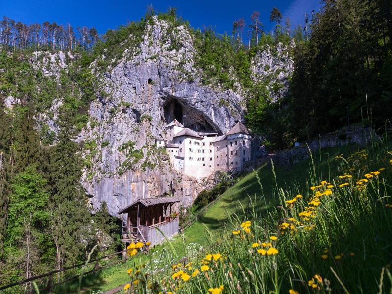 Postojna Cave Rooms & Apartments Proteus image