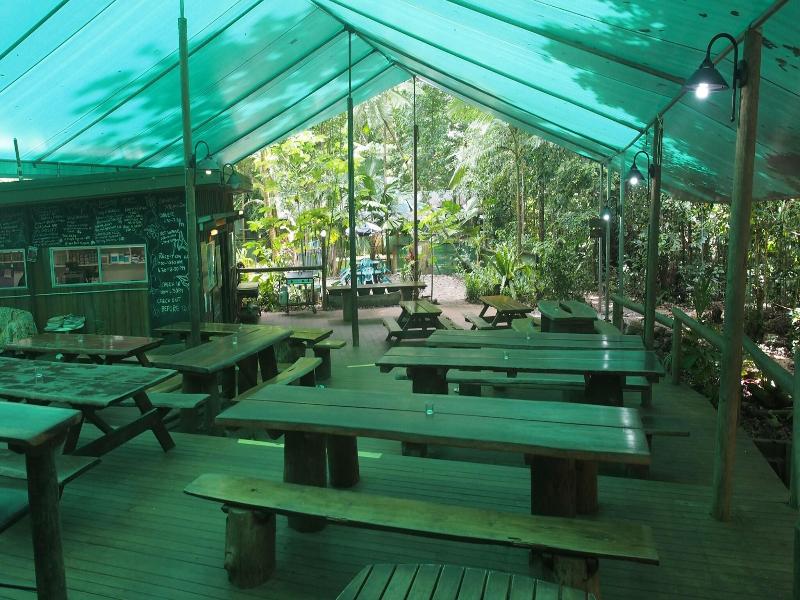 Daintree Crocodylus image