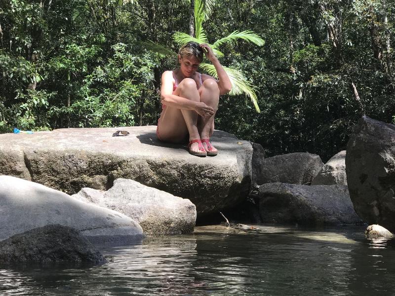 Daintree Crocodylus image