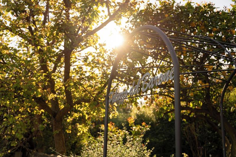 Relais Palazzo del Barone - Adults Only image