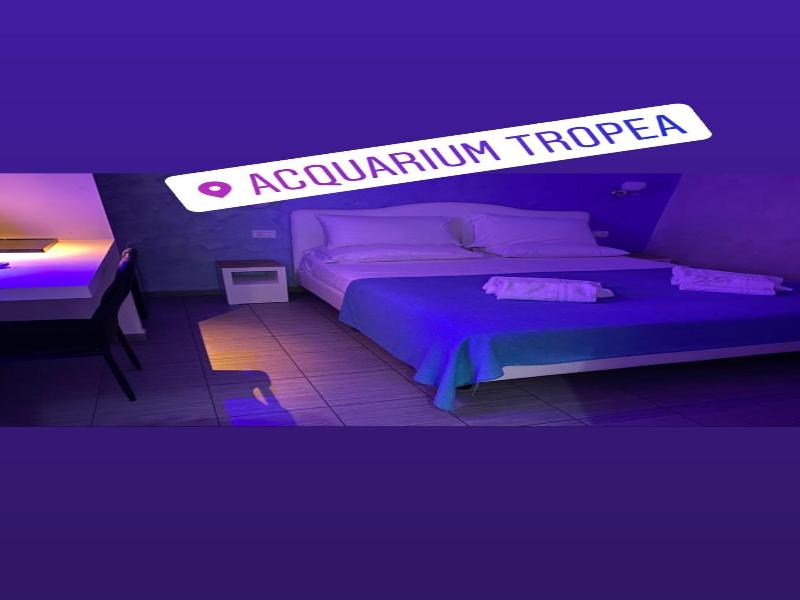 Acquarium  Tropea image