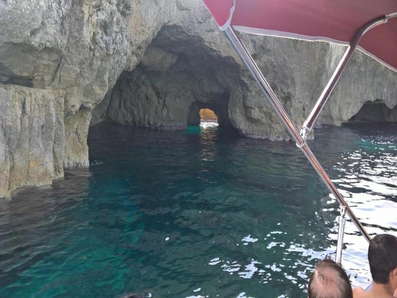 Acquarium  Tropea image