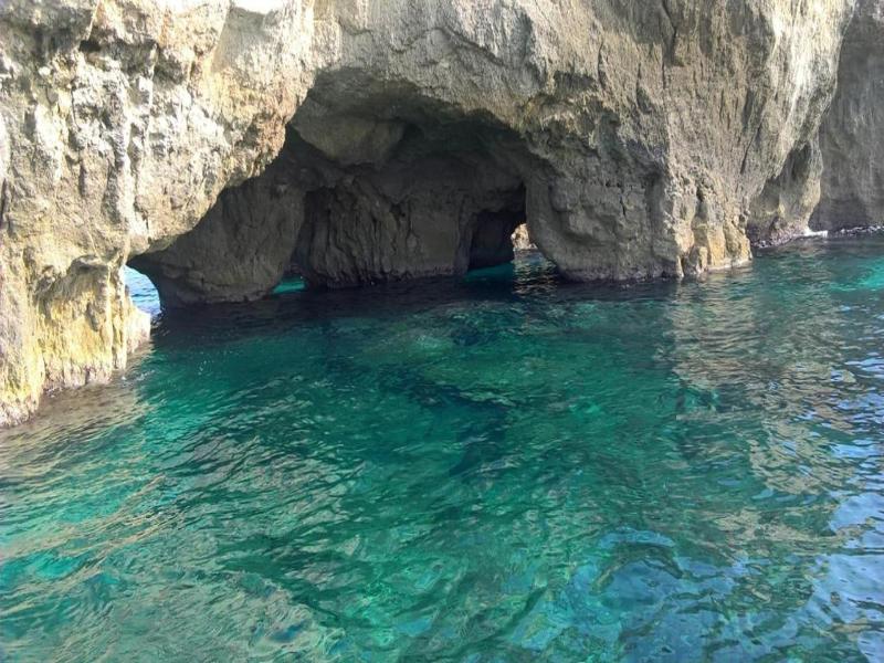 Acquarium  Tropea image