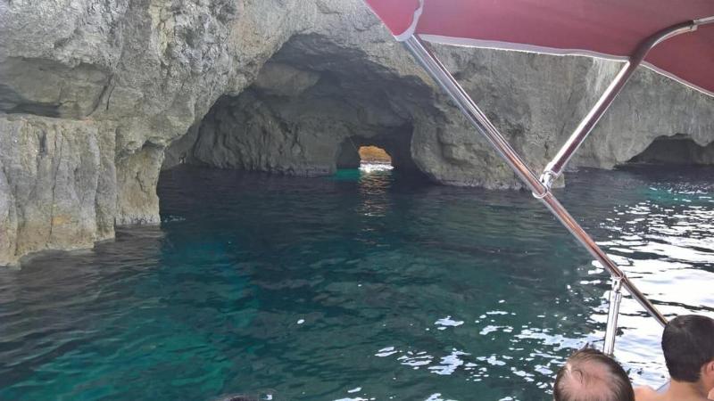 Acquarium  Tropea image