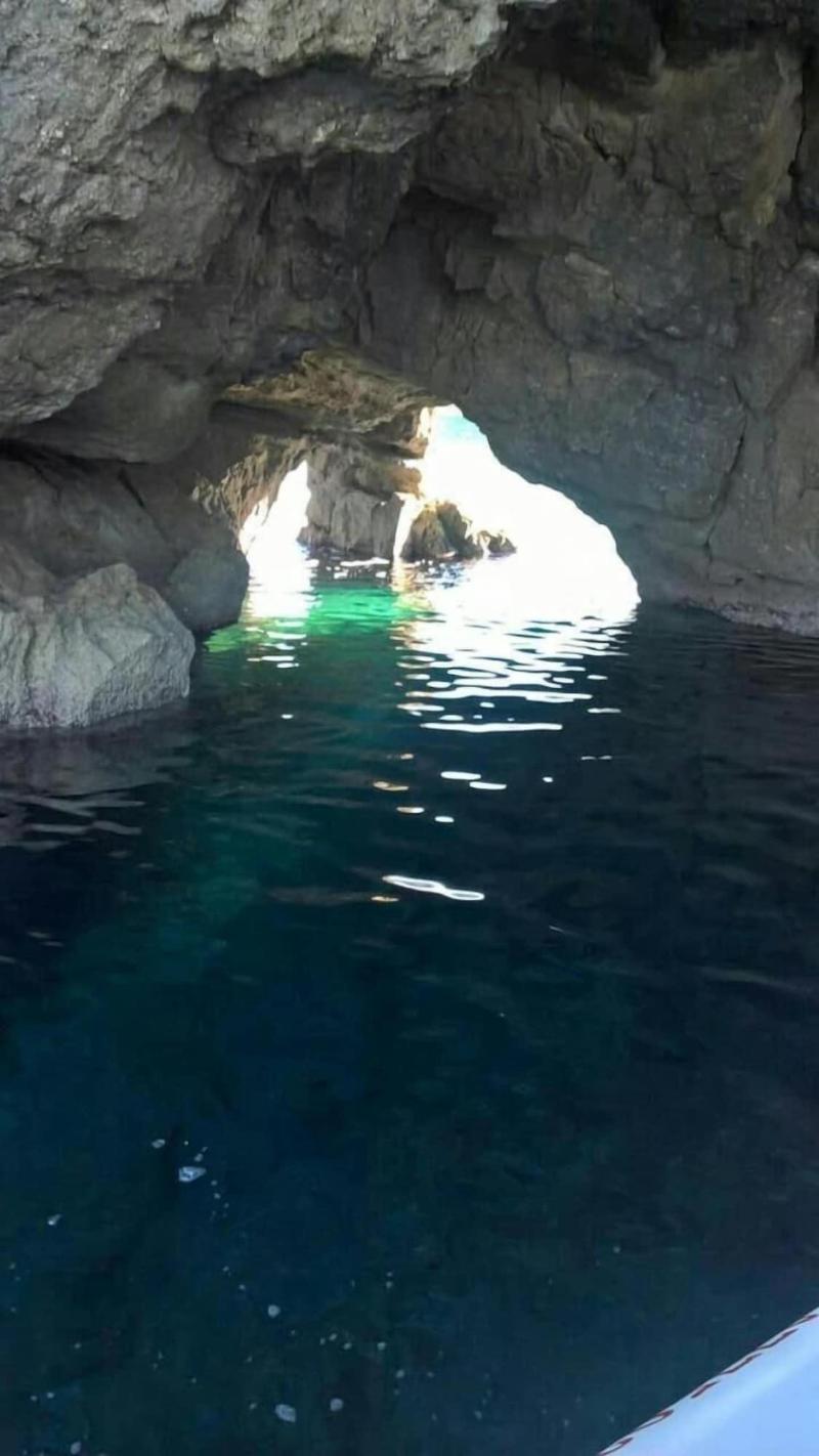 Acquarium  Tropea image