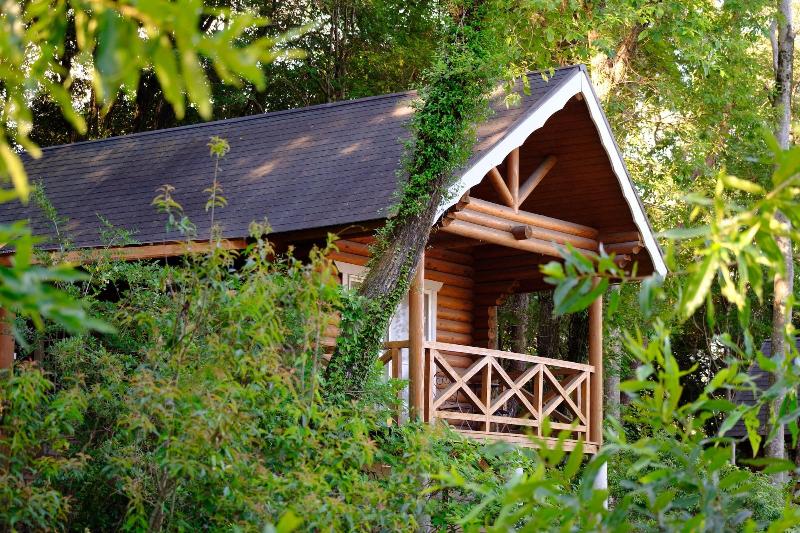 Log Cabin Kinoko No Sato image