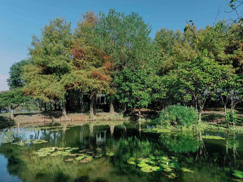 Green Forest Villa image