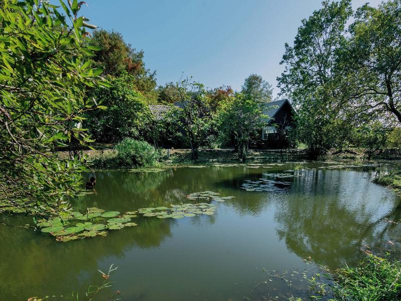 Green Forest Villa image
