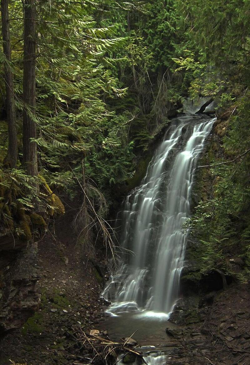 Kootenay Wild
