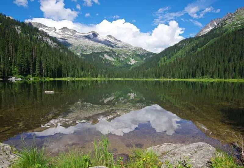 Kootenay Wild