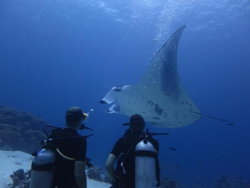 South Ari Dive Center image