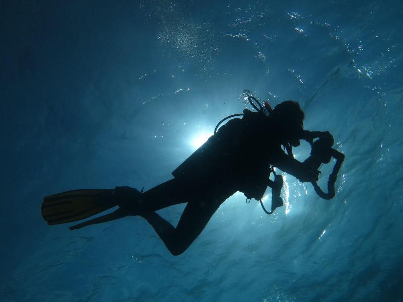 South Ari Dive Center image