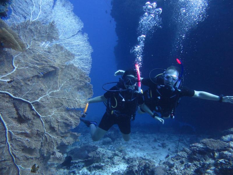 South Ari Dive Center image