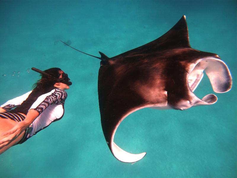 South Ari Dive Center image