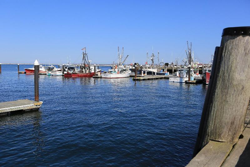 Anchor Inn Beach House — photo 4